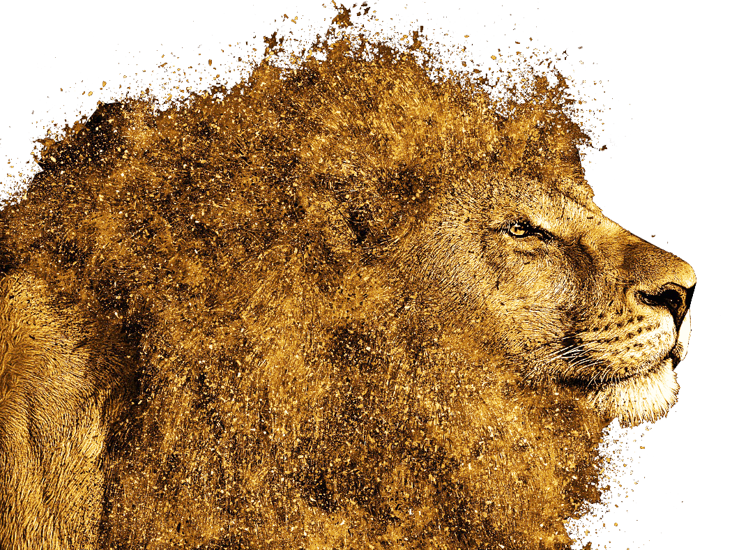 Website Alchemy Lion